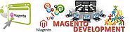 Magento Website Development - Elsner