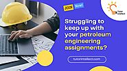 Transform Your Petroleum Engineering Grades with Professional Assignment Help!