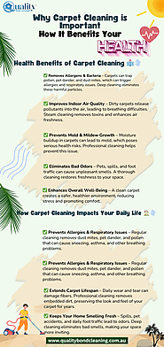 Expert Professional Carpet Cleaning Services for a Spotless Home
