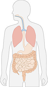 Symptoms of lactose intolerance