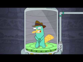 Where's My Perry? Free - Android Apps on Google Play