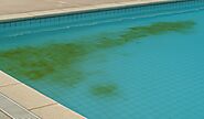 Say Goodbye to Brown Algae in Swimming Pool Corners