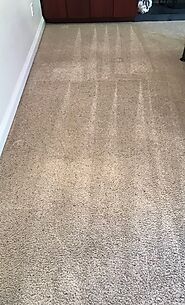 Professional Carpet Cleaning in Los Angeles, CA