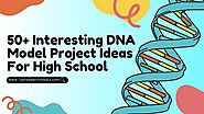 50+ Interesting DNA Model Project Ideas For High School