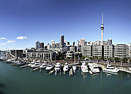 Top 15 Things To Do In Auckland