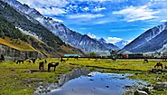 Explore Mesmerizing Kashmir Tour Packages with MyTripNavigator