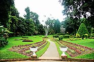Explore the Royal Botanical Gardens