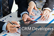 CRM Developers Working on The Creation of Plans