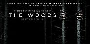 The Woods Trailer: Adam Wingard’s Latest Takes You Deep in the Trees