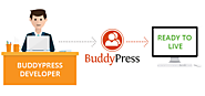 Hire Buddypress Developers to Bulid Your Business its Own Private Network