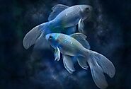 Pisces Yearly Horoscope 2025: Cosmic Advice - Spiritual Think