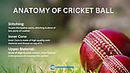 Cricket Ball Material Explained: Cork, Yarn, Leather & More