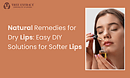 Natural Remedies for Dry Lips: Easy DIY Solutions for Softer Lips