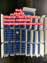 NAD+ CAS: 53-84-9 Factory direct sales, good quality and low price Whatsapp/telegram:+852 97594980