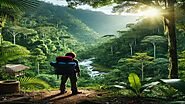 A Sustainable Backpacker’s Guide to Exploring the Amazon Rainforest - BreatheOffline