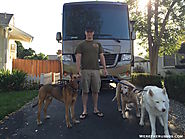 Full Time RVing with Large Dogs