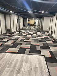 Basement Remodeling Company Collingswood