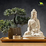 Which Buddha Statue is Good for Home? – Blooming Floret