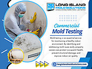 Commercial Mold Testing