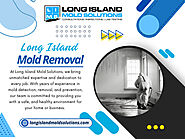 Long Island Mold Removal