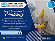 Mold Assessment Company