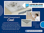 Mold Assessment Cost