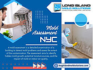 Mold Assessment NYC