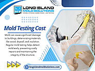 Mold Testing Cost