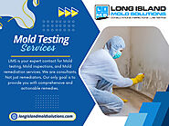 Mold Testing Services