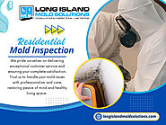 Residential Mold Inspection