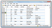 CSV Easy