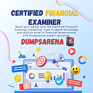 Certified Financial Examiner