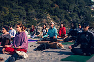 Transformative Yoga Teacher Training at Gurukul Yoga Shala, Rishikesh