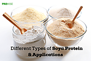 Different Types of Soya Proteins and Their Applications | Prowise India