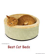Best Cat Beds