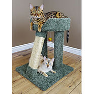 New Cat Condos Elevated Cat Bed Beige