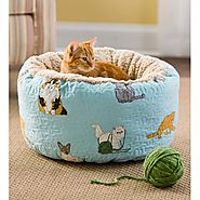 Kitten Caboodle Puffy Cat Bed Cat Beds