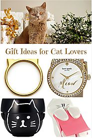 Purrfect Gift Ideas for Cat Lovers - Absolute Christmas