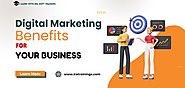 Digital Marketing Benefits for your Business. 100% Success