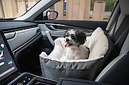 Best Dog Car Seats for Safe and Comfy Travels with Your Pet - Car Moms