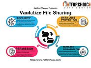 Unlock Seamless Collaboration: Discover Vaultize Enterprise File Sharing by NetForChoice.