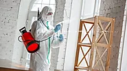 Mold Inspection Services