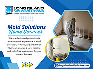 Mold Solutions Home Services