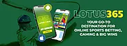 Lotus365 - Your Go-To Destination for Online Sports Betting, Gaming & Big Wins