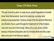 Herbal Aloe Vera Gel To Get Pimple Free Skin Naturally