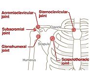 Shoulder Pain Relief: Causes, Symptoms, and Effective Osteo Treatments | Osteo Clinic