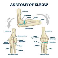 Elbow Joint Pain: How An Osteo Can Help Relieve Your Discomfort