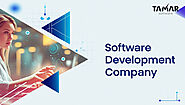 Tamar Software - Software Development Company