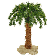 Sterling 3210-15c 15-Inch Pre-Lit Palm Tree Clear Lights