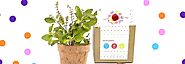The Symbolic Meaning Behind Gifting Plants | Nurserylive